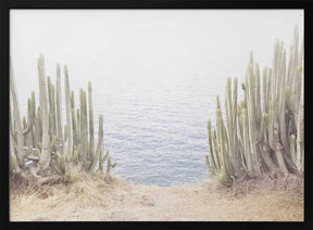 Ocean Cactus Poster