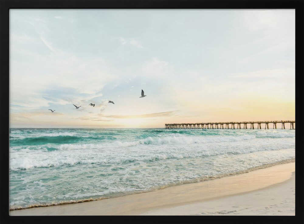 Birds At Pier Poster