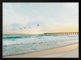 Birds At Pier Poster