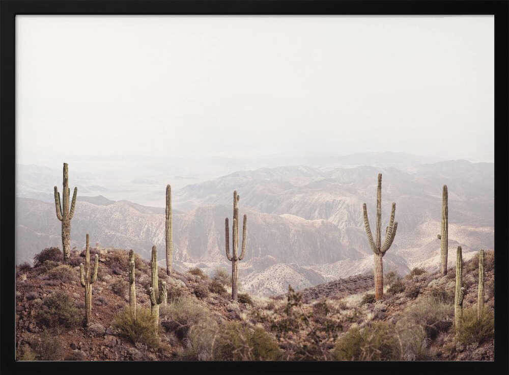 Arizona Valley Poster