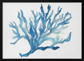 Blue Coral Poster