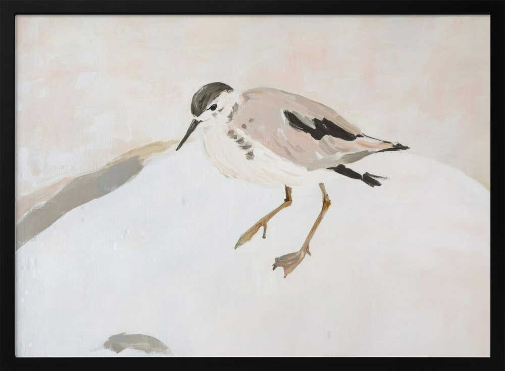 Cute Shorebird Poster