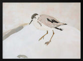 Cute Shorebird Poster