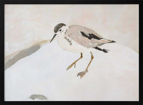 Cute Shorebird Poster