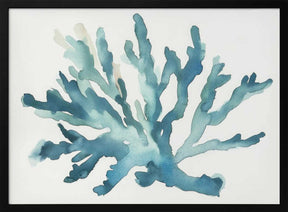 Turqoiuse Coral Poster