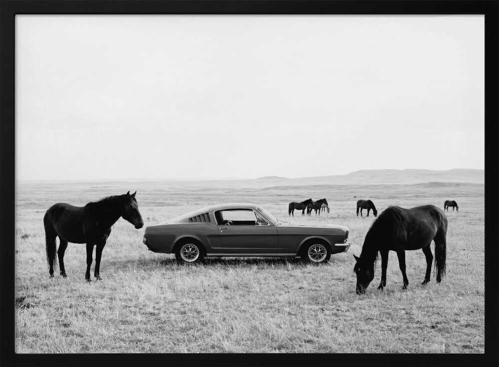 Wild Plains BW Poster