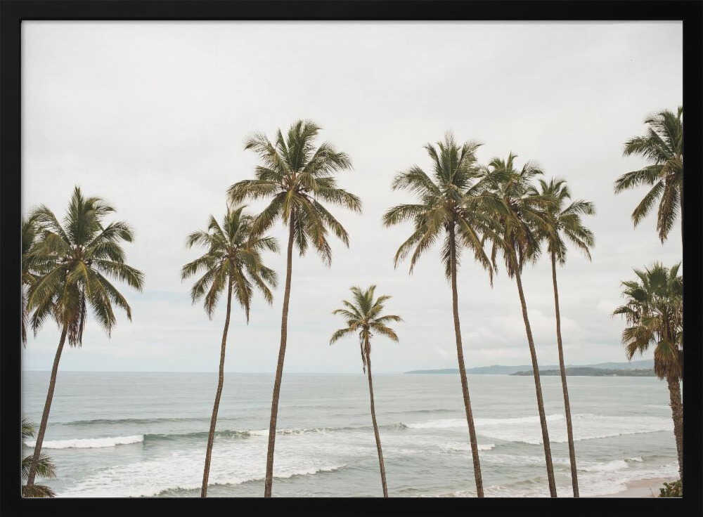 Palm Paradise Poster