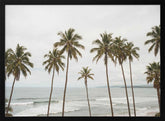 Palm Paradise Poster