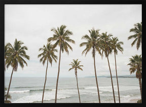 Palm Paradise Poster