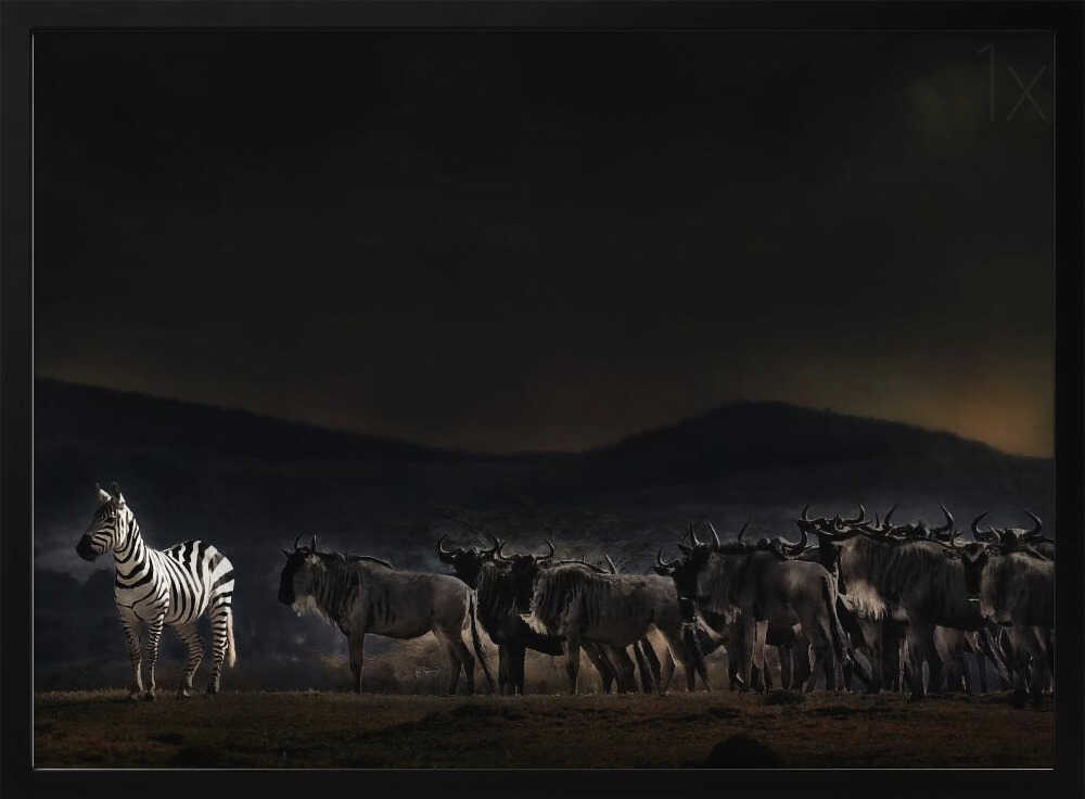 an evening in Kenya Poster