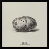 Vintage Vegetables - Potato Poster