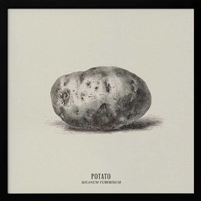 Vintage Vegetables - Potato Poster
