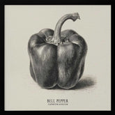Vintage Vegetables - Bell Pepper Poster