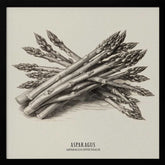 Vintage Vegetables - Asparagus Poster