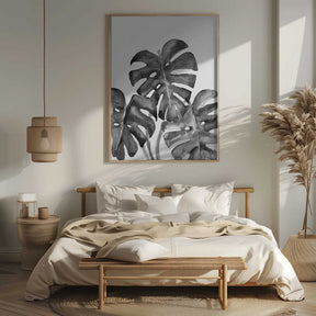 Monstera leaves in loose watercolor bw Poster