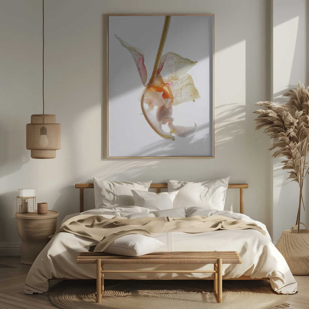 Petal Symphony Poster