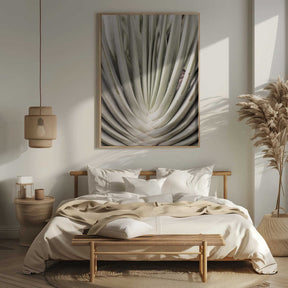 Desert Fan Dance Poster