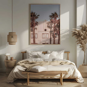 Palm Shadows Poster