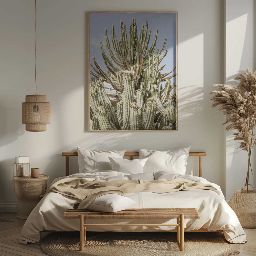 Cactus Symphony Poster