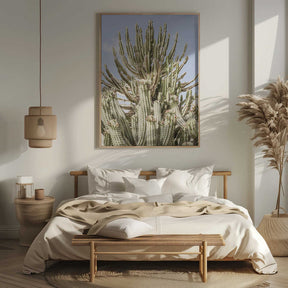 Cactus Symphony Poster