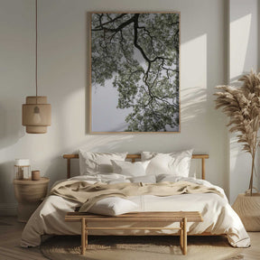 Ethereal Canopy Poster