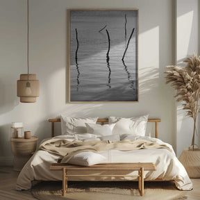 Silent Reflections Poster