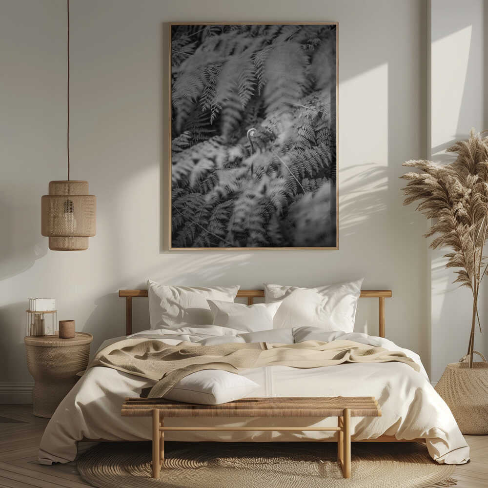 Black And White Photograph Poster