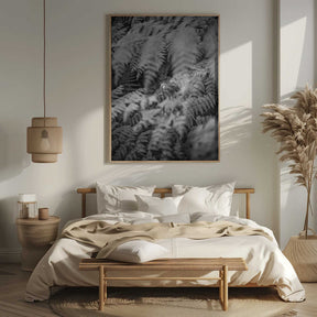 Black And White Photograph Poster