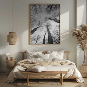 Reaching Branches Poster