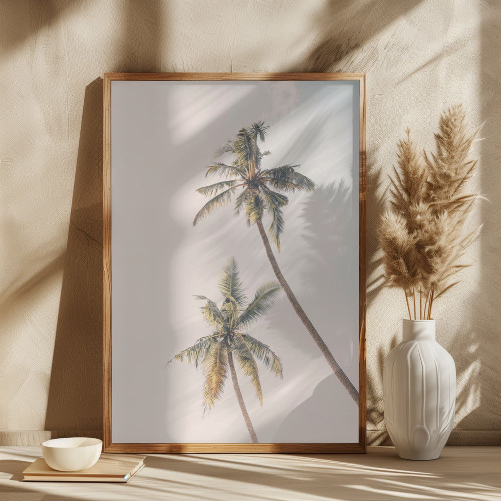 Tropical Palms Poster