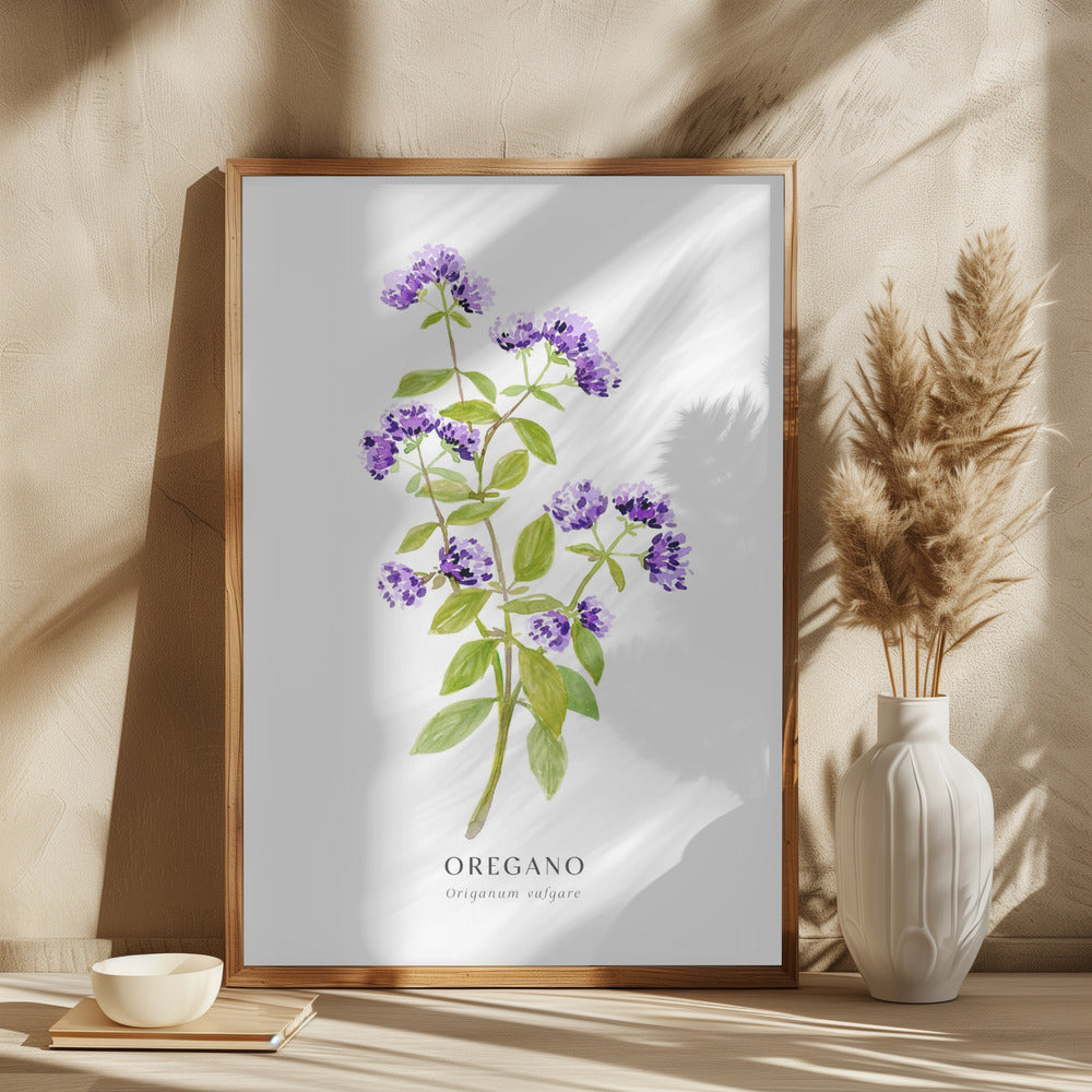 Oregano I Poster