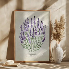 Lavender vintage Poster