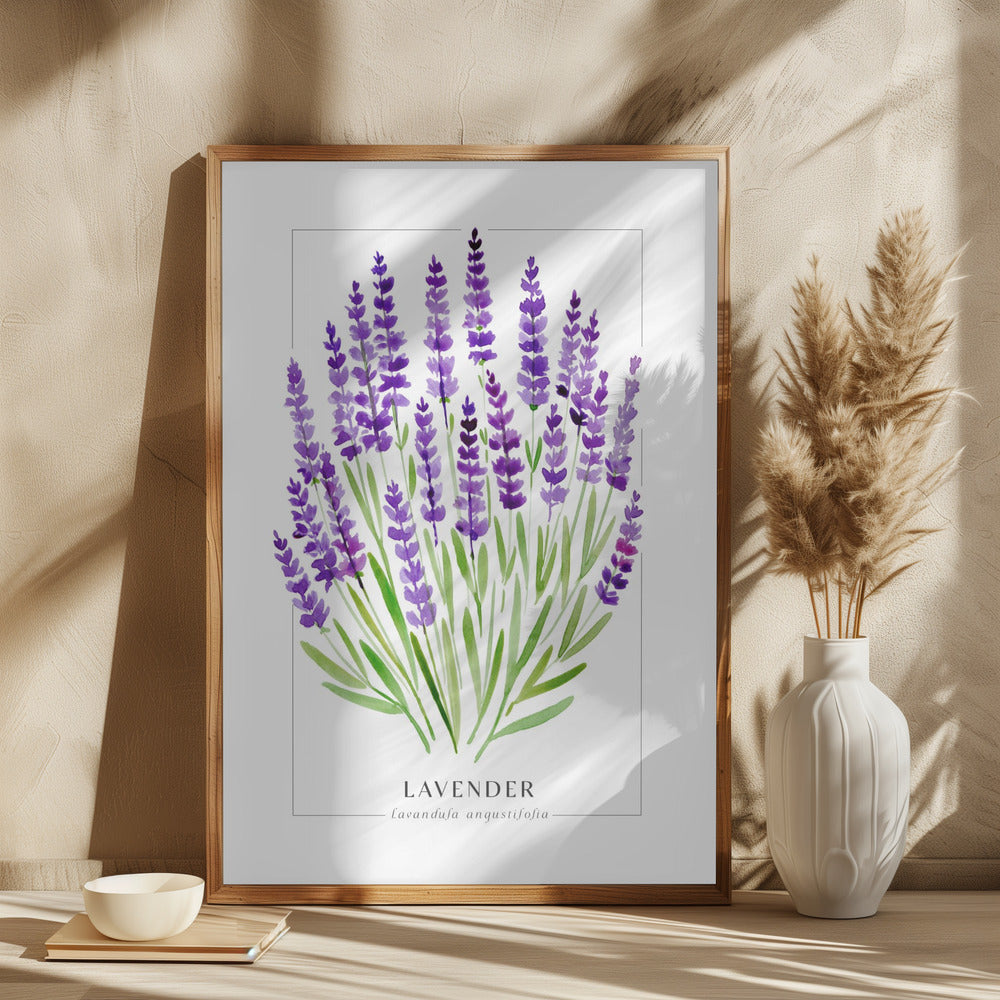 Lavender II Poster