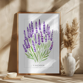 Lavender II Poster