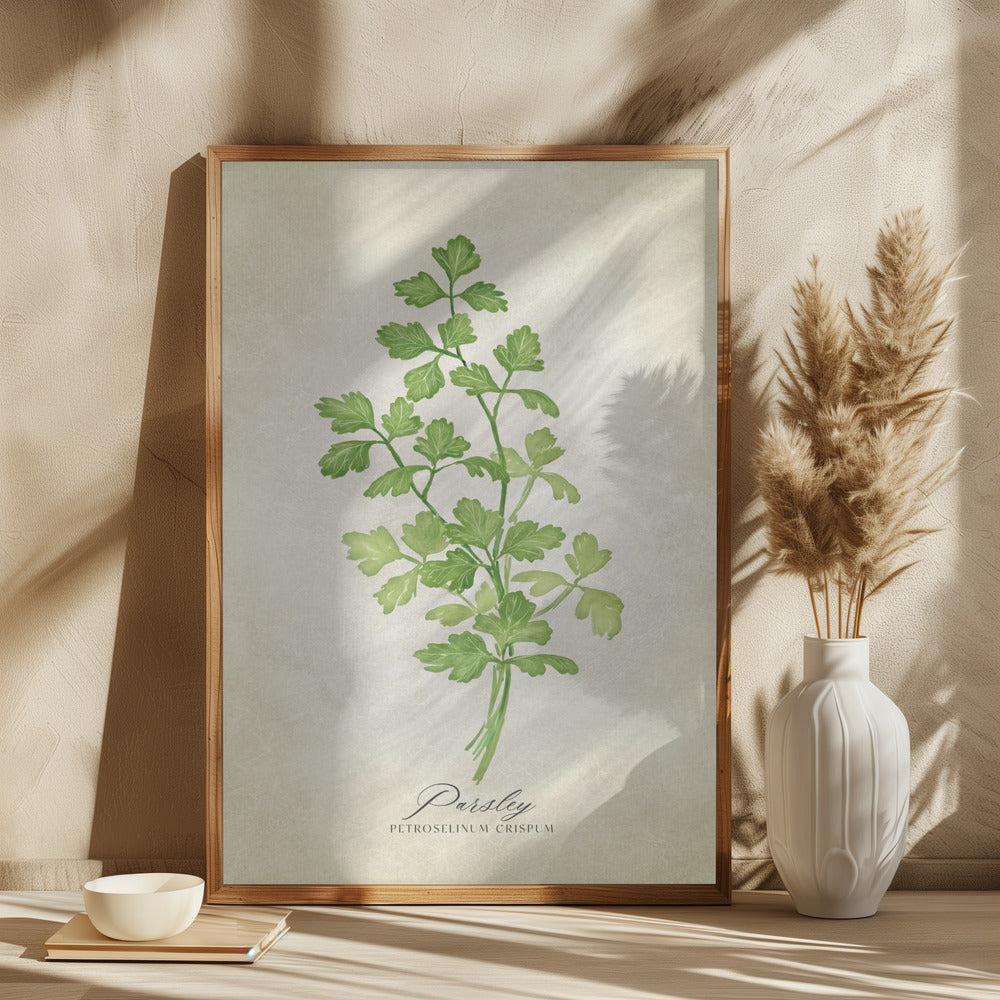 Parsley vintage Poster