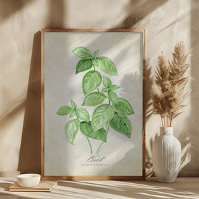 Basil vintage Poster