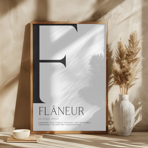 Flâneur definition Poster