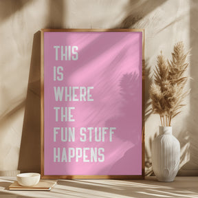 Where the fun stuff happen Poster