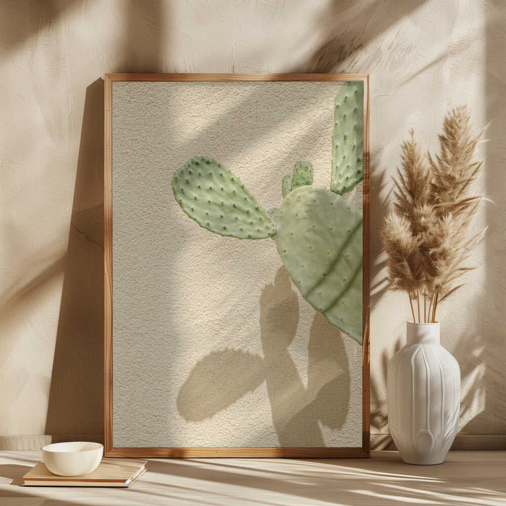 Cacti Shadowplay Poster