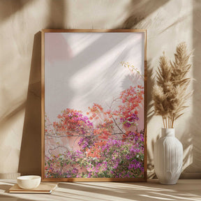 Pink Summer Poster