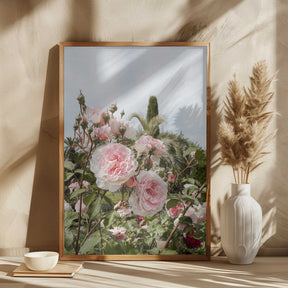 Garden Roses Poster