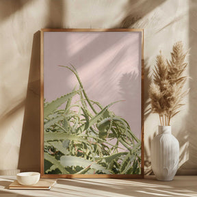 Cacti on Pink Poster