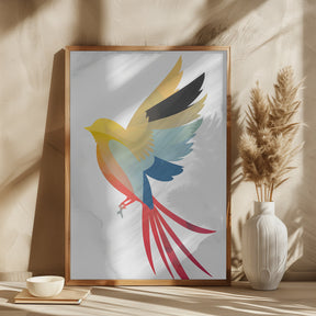 Colorful Bird Poster