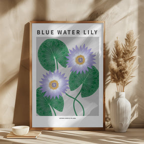 Blue Water Lily - National flower of Sri Lanka Poster