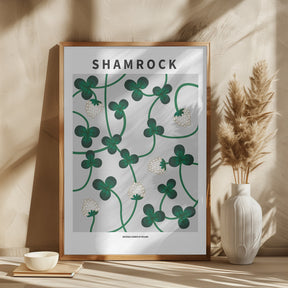 Shamrock - National flower of Ireland Poster