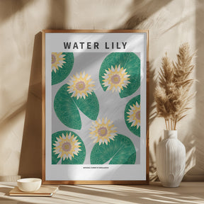 Water lily - National flower of Bangladesh Poster