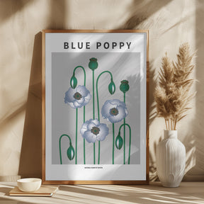 Blue Poppy - National flower of  Bhutan Poster
