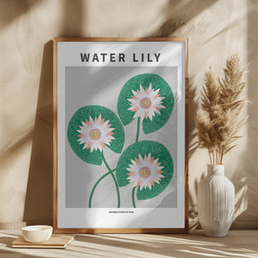 Water Lily - National flower of Iran Poster
