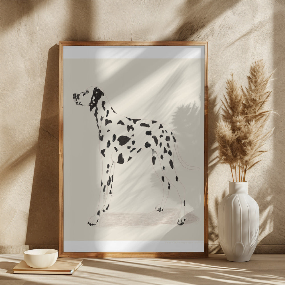 Pandc Dalmation Poster