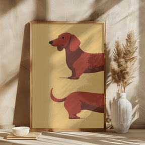 Dachshund Poster